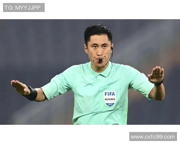 足球明星因场内外争议被罚款的精彩瞬间合集视频